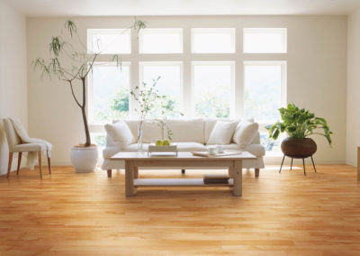 Modern Hardwood Floor
